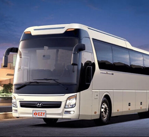 hnh-1-17-1